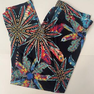 The Zig Zag Stripe Stretch Crop Pants Size Medium